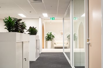 looking down an office hallway with planter boxes on the left hand side