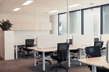 workstations with black chairs and light grey acoustic screens