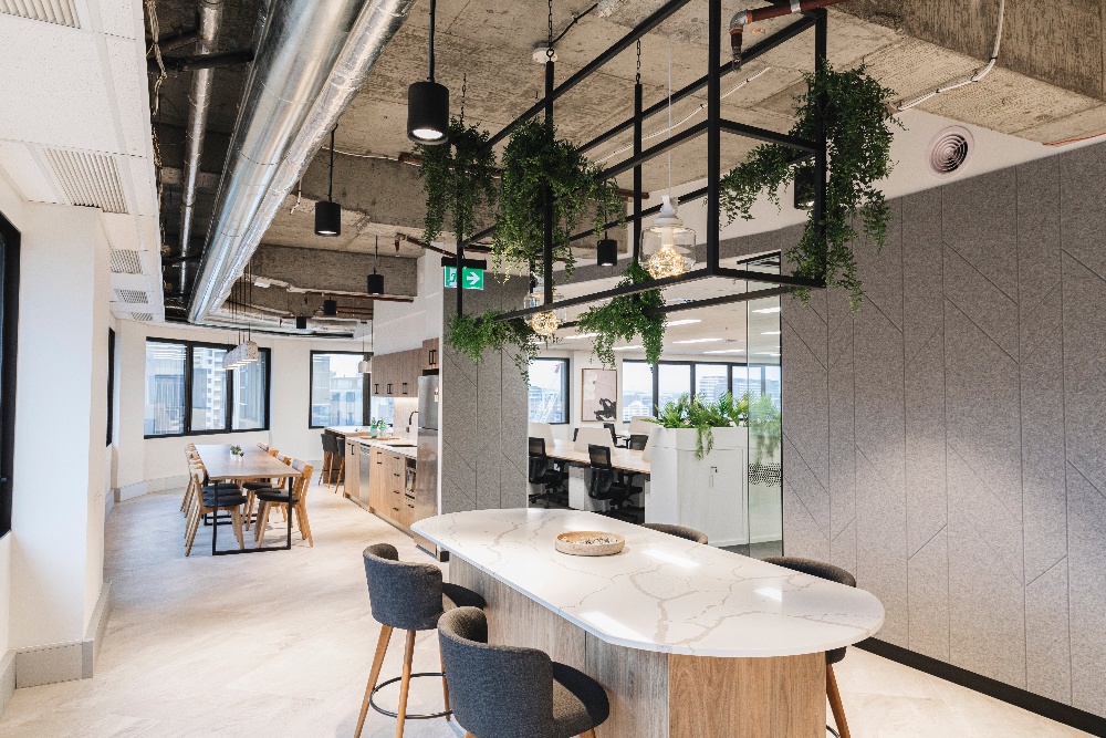 collaborations table space with overhead lightbox with greenery