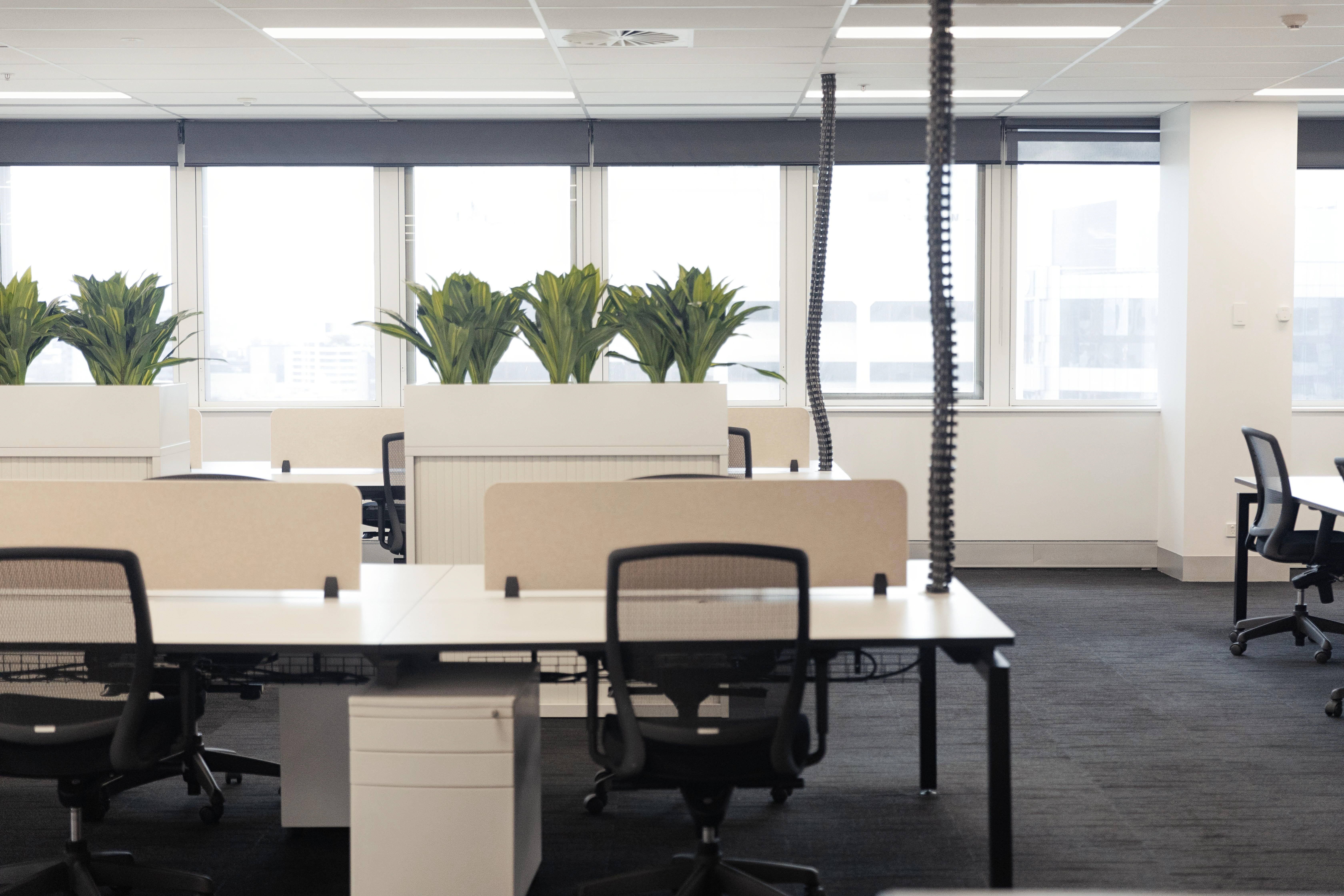 workstations with greenery in planter boxes