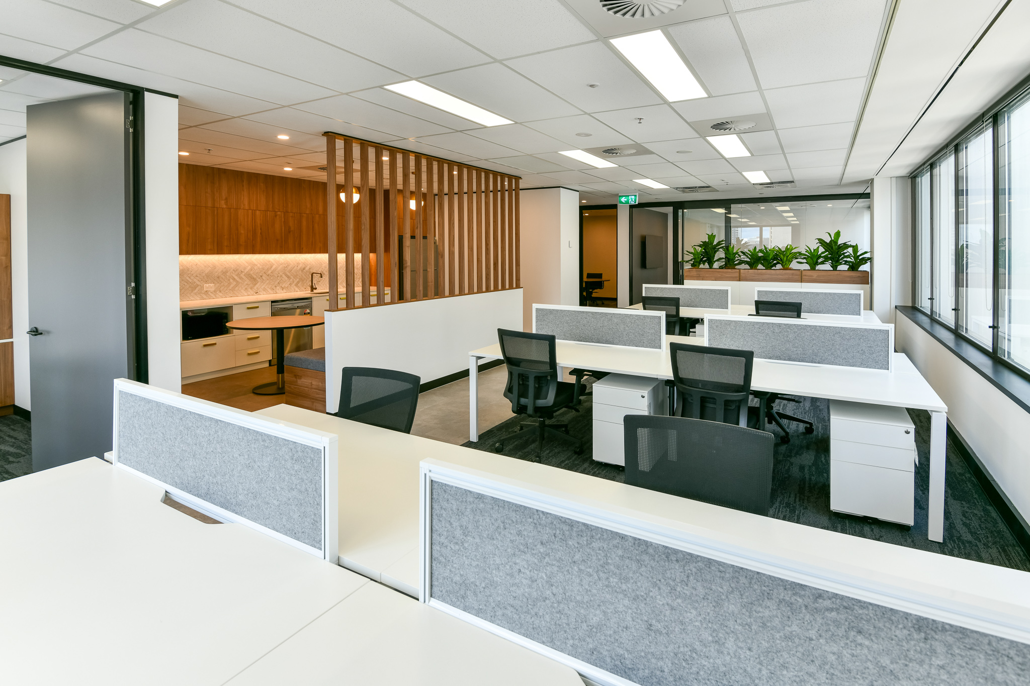Speculative Suites